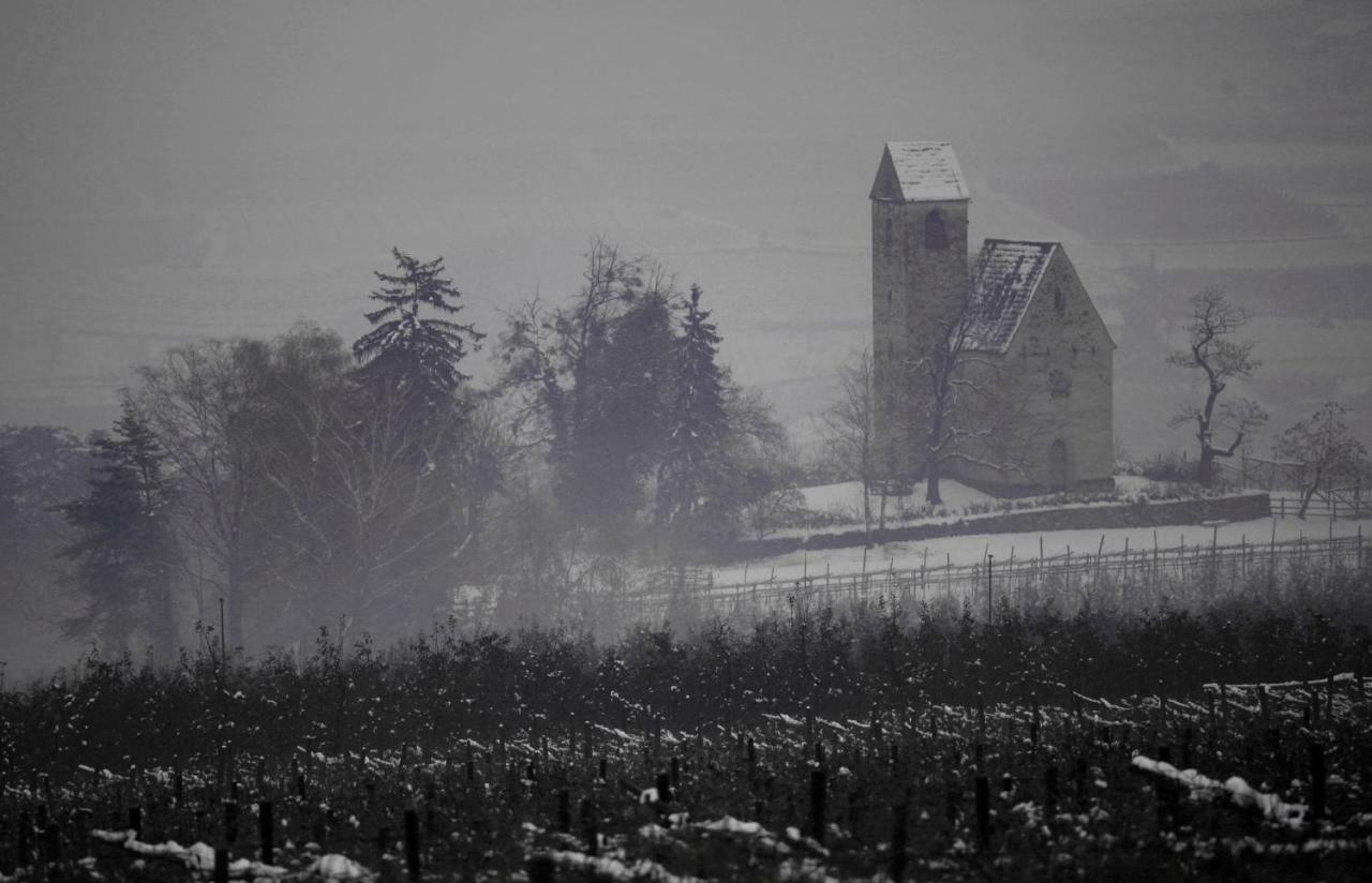 Apartamento Casa Pigano Appiano Sulla Strada Del Vino Exterior foto
