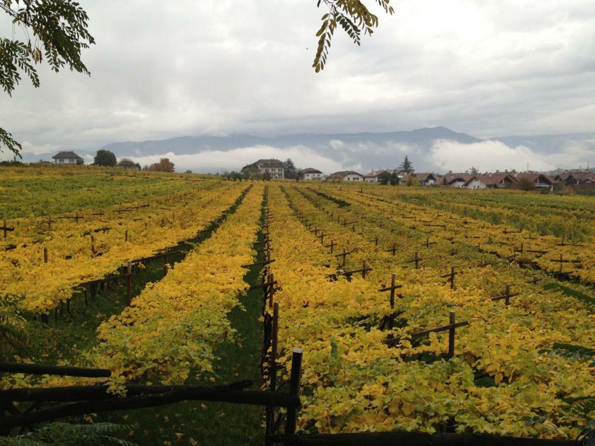 Apartamento Casa Pigano Appiano Sulla Strada Del Vino Exterior foto